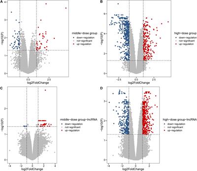 A Novel Transcriptome Integrated Network Approach Identifies the Key Driver lncRNA Involved in Cell Cycle With Chromium (VI)-Treated BEAS-2B Cells